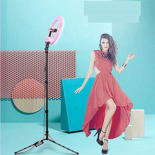 FACAZ LED-Ringlicht-Kit LED-Ring-Fotografie-Fülllicht, Beauty-Gesichtslicht, Make-up-Anker, Live-Broadcast-Lichtstativ… – Bild 5