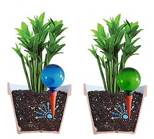 2 Globi Irrigatori Per Piante A Forma Di Fungo - Vetro Marrone - Autoirriganti Per Interni/Esterni - Ideali Per Vacanze E Viaggi