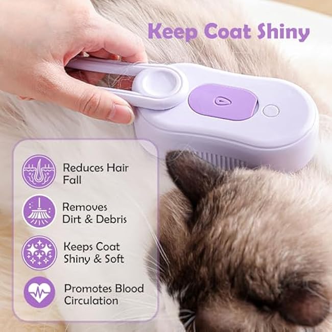 Cat Steam Brush, Rechargeable Pet Steam Grooming Brush with Collapsible Handle, Cat Brushes for Indoor Cats, Cat Water Brush, Detangling and Removing Loose Hair, includes Charging Cable-rF4ApaRQ