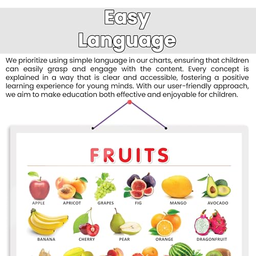 Image of FRUITS CHART HARD LAMINATED | Colorful Orchard: Durable Laminated Fruits Reference Chart