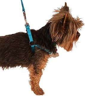 Valhoma 3924-RE-L Adjustable Harness, Red - Large - 30-40 in.