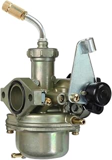 LYXPEIJIAN Carburetor Carb for Kawasaki Klx110 Klx140 Klx 110 140 L G 15003-1694