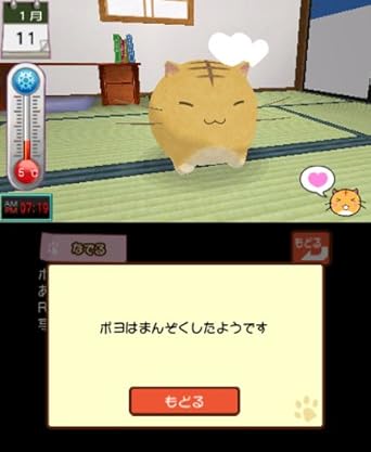 Amazon ポヨポヨ観察日記 通常版 3ds ゲーム