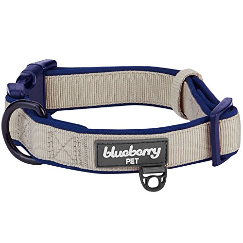Blueberry Pet 2 Colors Soft & Comfy Made Well Classic Neoprene Padded Adjustable Dog Collar, Beige, Large, Neck 18-26\