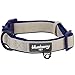 Blueberry Pet 6 Colors Soft & Comfy Made Well Classic Neoprene Padded Dog Collar, Beige, Medium, Neck 14.5"-20", Adjustable Collars for Dogs