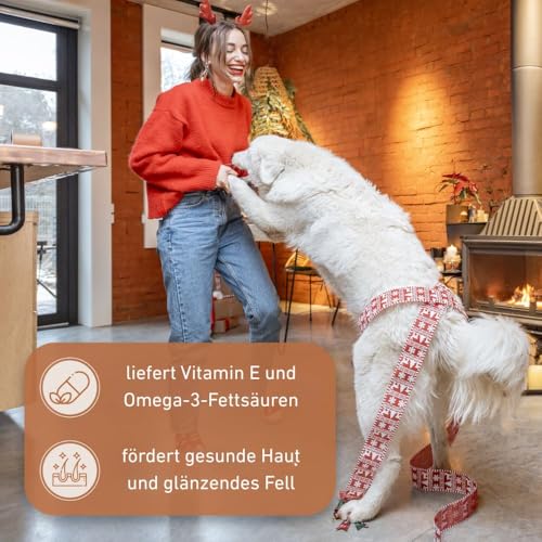 Wildfang® Olivenholz für Hunde, Größe L – robuste Kau-Sticks für Starke Kauer, Welpen-Kauspielzeuge zur Zahnung, Training der Kaumuskulatur, Olivenholz-Kaustab für Hunde (über 25kg)