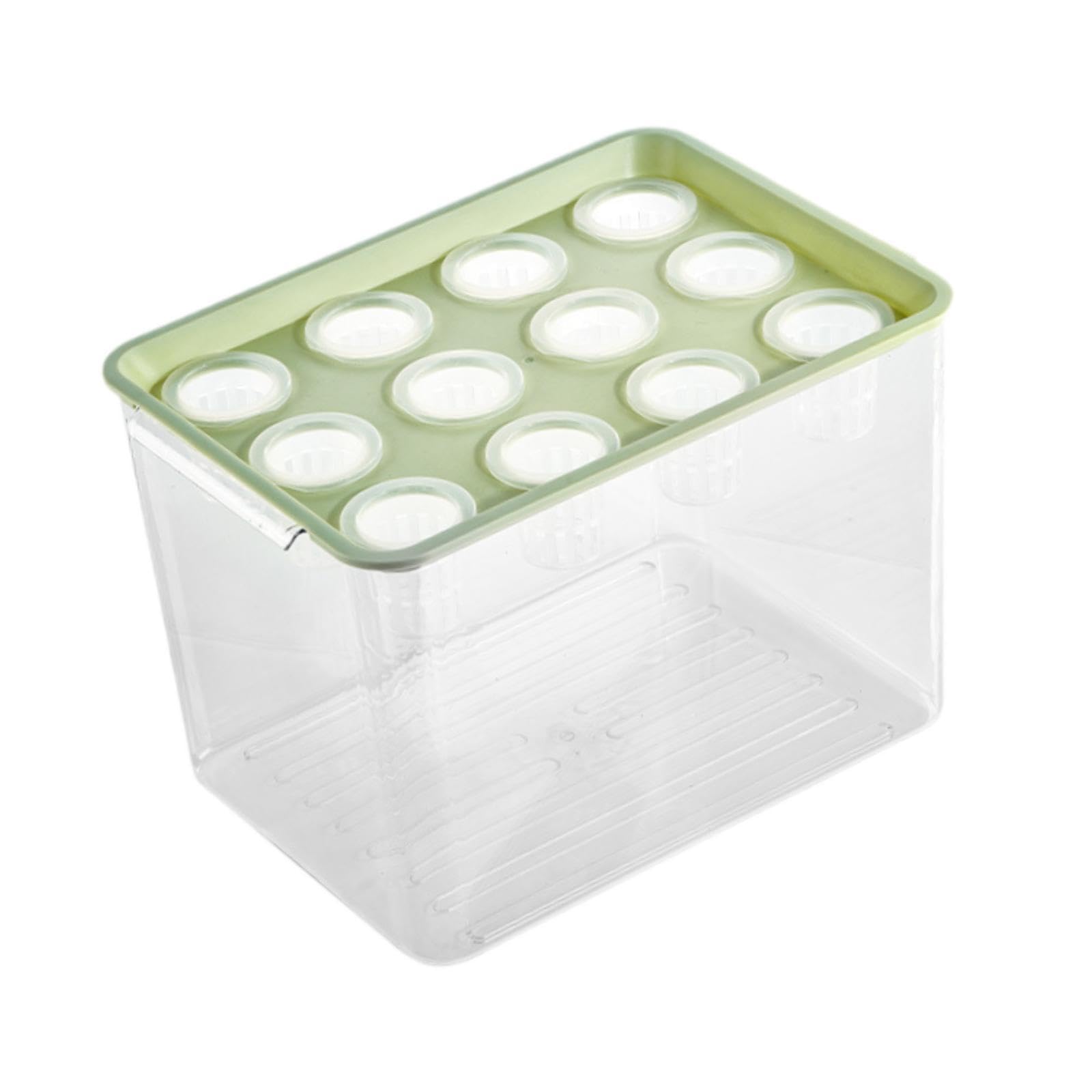 Boîte hydroponique pour légumes à la maison pour réussir ses semis sans terreau
