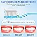 7.5% Hydroxyapatite Toothpaste(Fluoride Free), (2pcs) Nano Hydroxyapatite Toothpaste for Sensitive Teeth, Enamel Protection, Tooth Strengthening, Fresh Mint Flavor, Daily Use for Oral Care