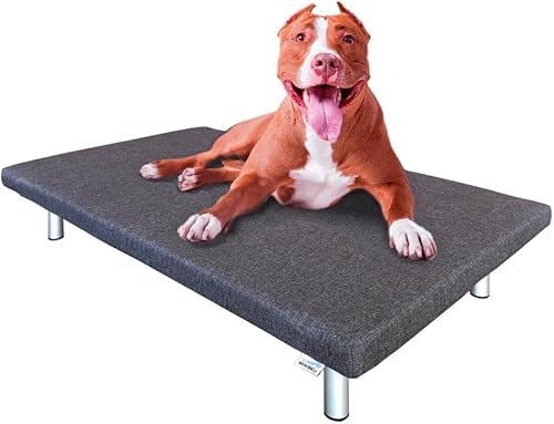 Foreman Cama elevada para perros de alta presión, impermeable, resistente al agua, con colchón de espuma, cuna elevada, plataforma laminada de alta