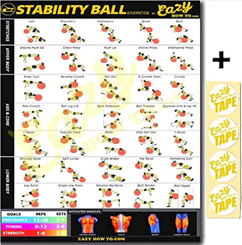 Eazy How To Stability Ball Exercise Workout Banner Poster Big 28 X 20