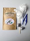 Uncle Beaudreaux's Owl Pellet Kit