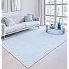 Amazon.com: Allen Home Wool Area Rug 2' x 3' - Blue Classic Style ...
