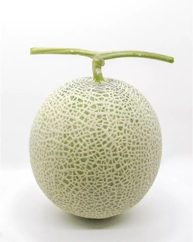 Willvine Muskmelon Sweet Melon-VIC-10S-picture-10