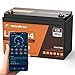 12V 100Ah LiFePO4 Lithium Battery with Smart APP, 4000-8000 Deep Cycle LiFePO4 Battery, Built-in 100A BMS, Wireless Real-Time Battery Monitor Function for RV, Marine, Off Grid Applications