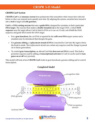 Image of CRISPR 3-D Paper Model Making Kit - Individual Student Edition (17-7717)