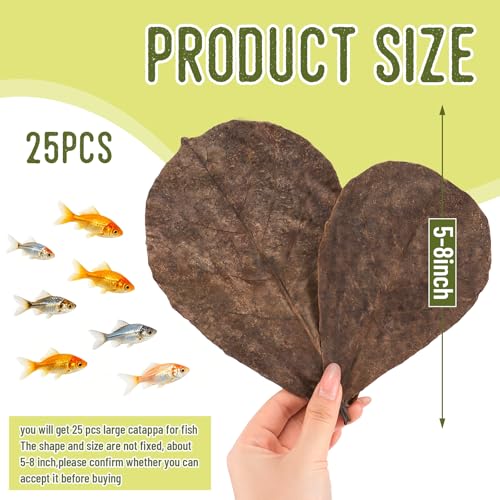 Image of LeonBach 50 Pcs Large Catappa for Fish,5-8 Inch, 125g Indian Almond Leaves Creates Native Environment, Catappa Leaves Beta Fish Leaf for Aquarium Shrimp Tank Decorations Water Conditioner