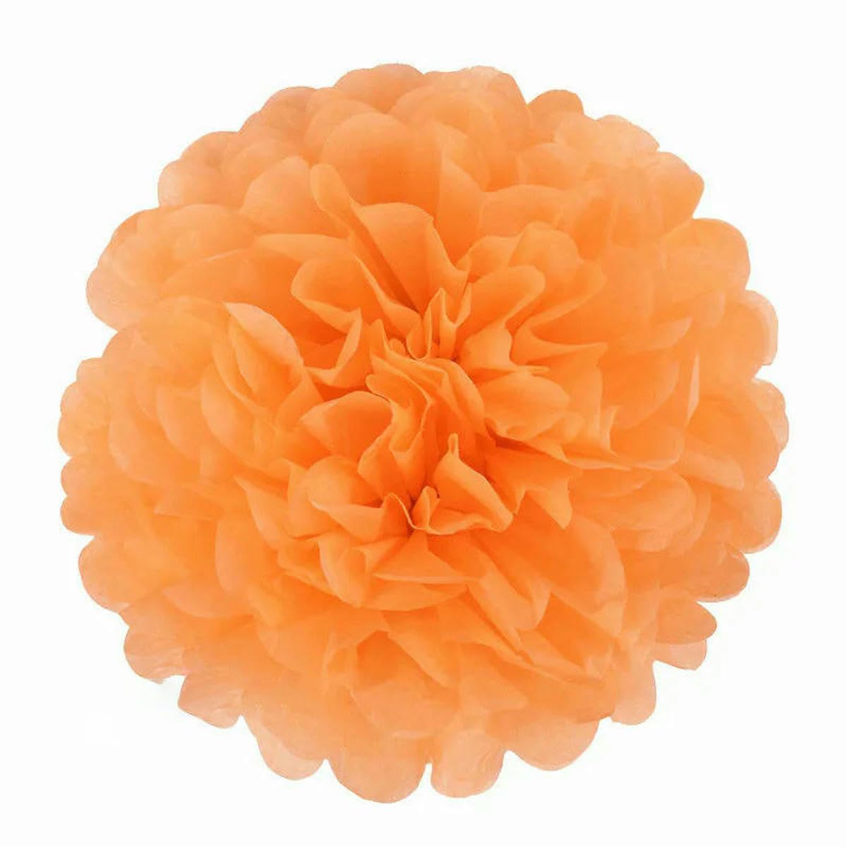 AYHTUD 5pcs 4 6 8 10 12 Inch Tissue Paper Pom Pom Poms Wedding Party Paper Pompom Flower for Wedding Decoration Pompoms Birthday Baby-orange-10 inch 25cm