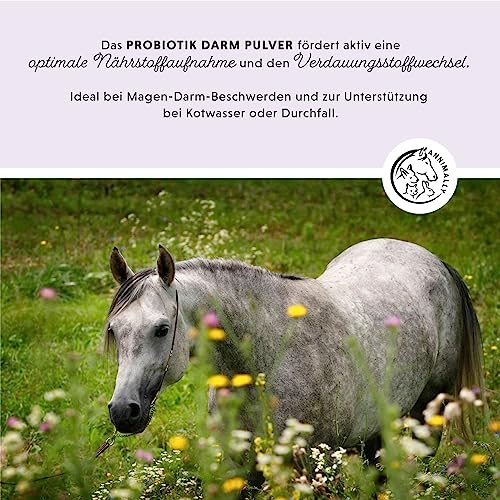 Annimally Probiotika Pulver für Pferde - 750g Darm Pulver mit Lebendhefe für eine gesunde Darmflora - Darmbakterien zur Darmsanierung beim Pferd, bei Kotwasser & Durchfall