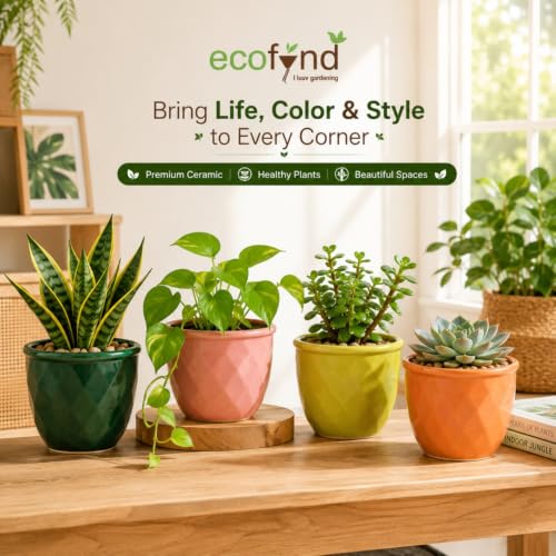 Image of ecofynd 4 Inch Ceramic Plant Pots with Drainage Hole, Modern Decorative Clay Flower Pots for Indoor Plants, Home Garden Decor for Living Room, Bedroom & Interior Spaces (Pack of 4, CPOT043-MUL)