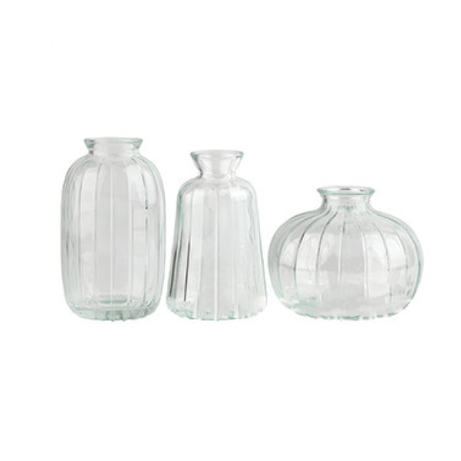 Jarrones de cristal transparente con pequeños brotes acanalados y macetas de diseño