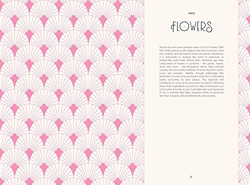 Perfume: In Search of Your Signature Scent - Image 4