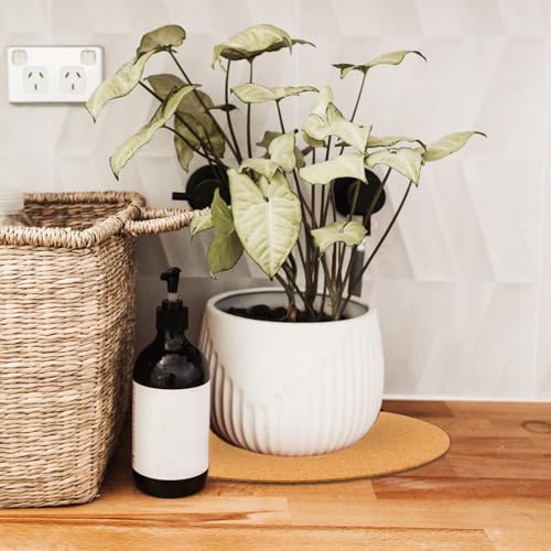 Dessous de plat en liège imperméable pour protéger les pots de fleurs