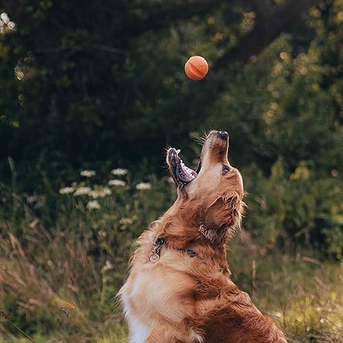 Beco Hundespielzeug - Naturkautschukball zum Apportieren, Spielzeug für Hunde, leicht zu Finden, leuchtende Farben - Gelb