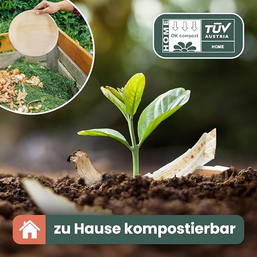 HAAGO 12 große Palmblattschalen (700ml, rund) Kompostierbar & Einweg - Umweltfreundliches Picknick- & Outdoor-Geschirr - Gefrierschrank- & mikrowellengeeignet (Rund 20 x 4 cm / 700 ml, 12)