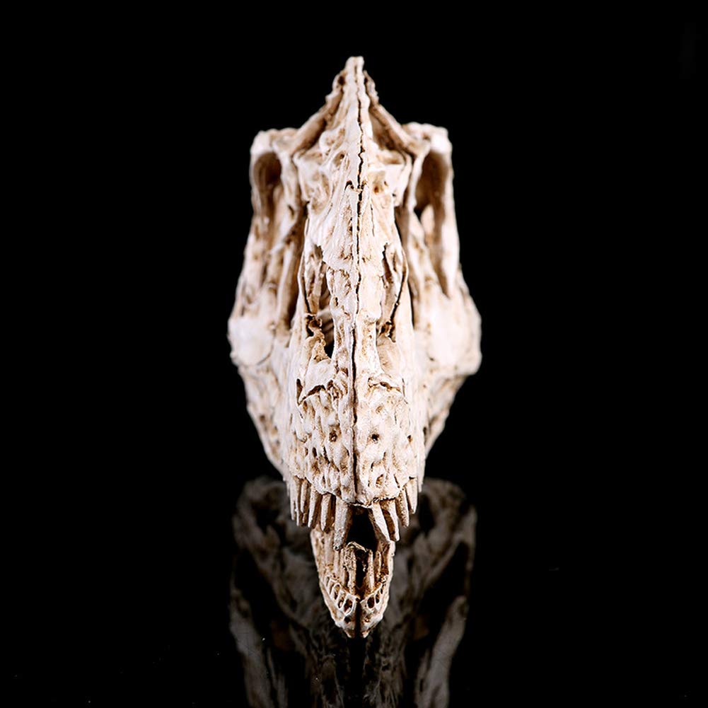 Model statua z żywicy ręcznie robiony dinozaur - edukacyjne zabawki naukowe, badania archeologiczne na zwierzętach, model nauczania anatomia