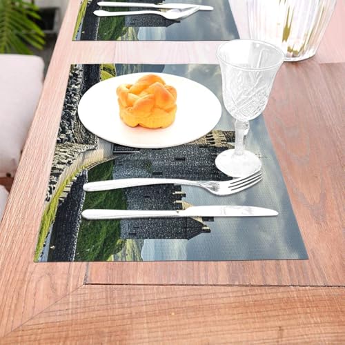 Sets de table lavables en PVC anti-tache pour préserver votre table - 5