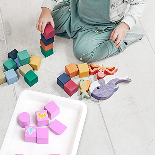 Plastic Art Trays,5 Pieces Stackable Activity Tray Crafts Organizer Tray Serving Tray Jewelry Tray For Diy Projects, Painting, Beads, Organizing Supply,5 Color (13.4 X 9.8 X 1 Inch) #TOP4