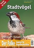  Der Falke - Sonderheft Stadtvögel: Lebensräume - Strategien - Entwicklung