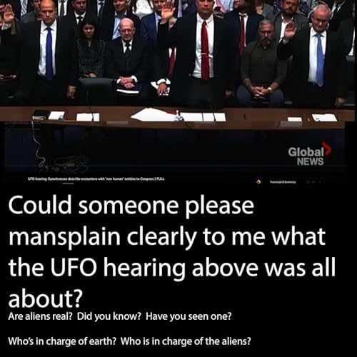 Ep 14 - Aliens are Real and Nothing has changed. Everyone too busy trying to survive for now. It will Unravel soon. Summer break will end. copertina