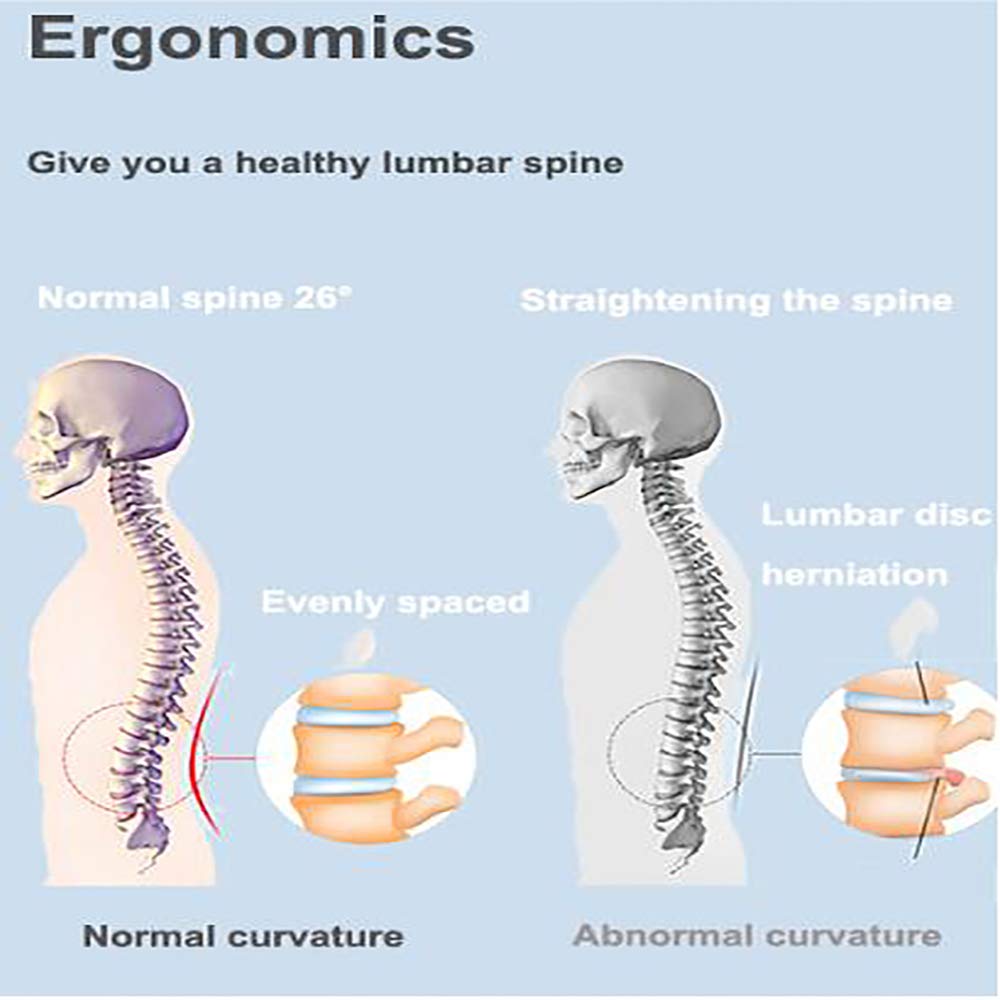 Faja Lumbar Fitness, para Hernia de Disco, ciática, escoliosis, estenosis espinal, cinturón de tracción del Aire de la Columna Vertebral, para el Alivio del Dolor Lumbar