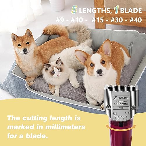 Professional Animal Dog Pet 5in1 Adjustable Fine Blade Cut Length 073mmcompatible with Wahl Arcobravurachromadocreativafigura and Motion Clippers2 Pcs  Cucciolini Doodles Professional animal dog pet 5 in 1 adjustable fine blade cut length 0 7 3mmcompatible with wahl arcobravurachromadocreativafigura and motion clippers2 pcs   cucciolini doodles