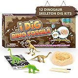 12 Dinosaurier Studie Booklet Dr. Daz Dinosaurier Skelette Ausgrabungsset für Kinder Nachtleuchtender Dino Toy Ausgraben Spielzeug Party Braben Kit Archäologie