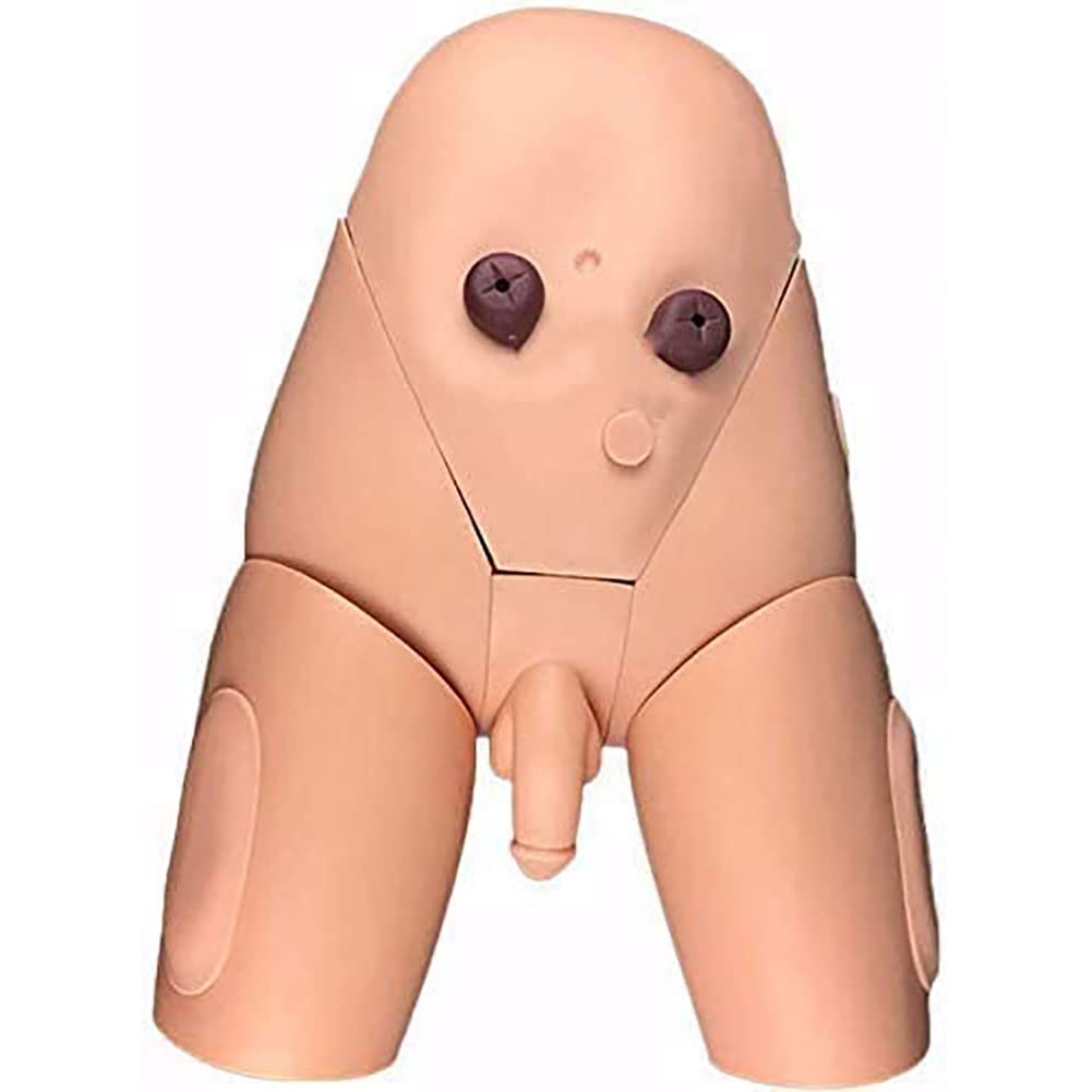Model cewnikowania męsko-żeński model anatomiczny narządów płciowych wewnętrzny i zewnętrzny model szkoleniowy do praktyki medycznej lalka ćwiczeniowa PVC model nauczania dla lekarzy