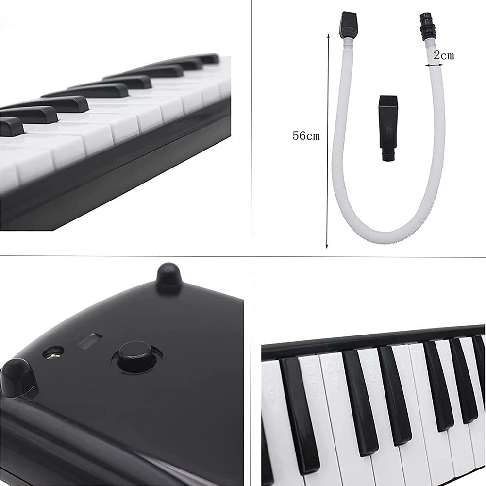 Strumento Musicale melodico a 41 Tasti Armonica a Gamma Media ad Ampia Gamma Professionale Suona l'organo a Bocca con Borsa Morbida in Tela di Oxford