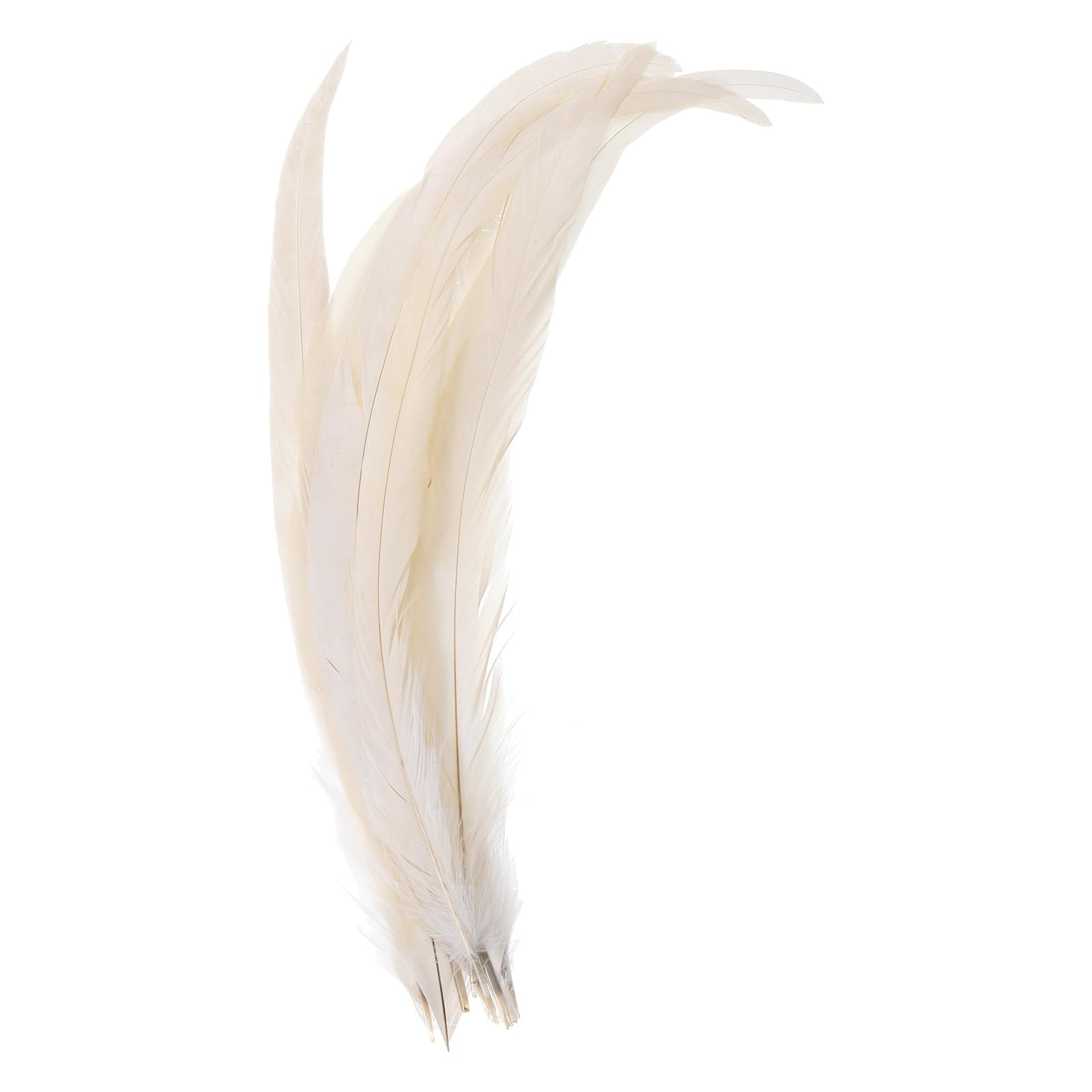 PATIKIL 14-16 Inch Rooster Feathers