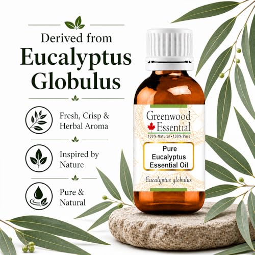 Huile d'eucalyptus globulus Greenwood Essential pour diffuseur de bien-être chez soi
