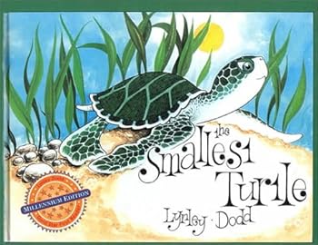 The Smallest Turtle