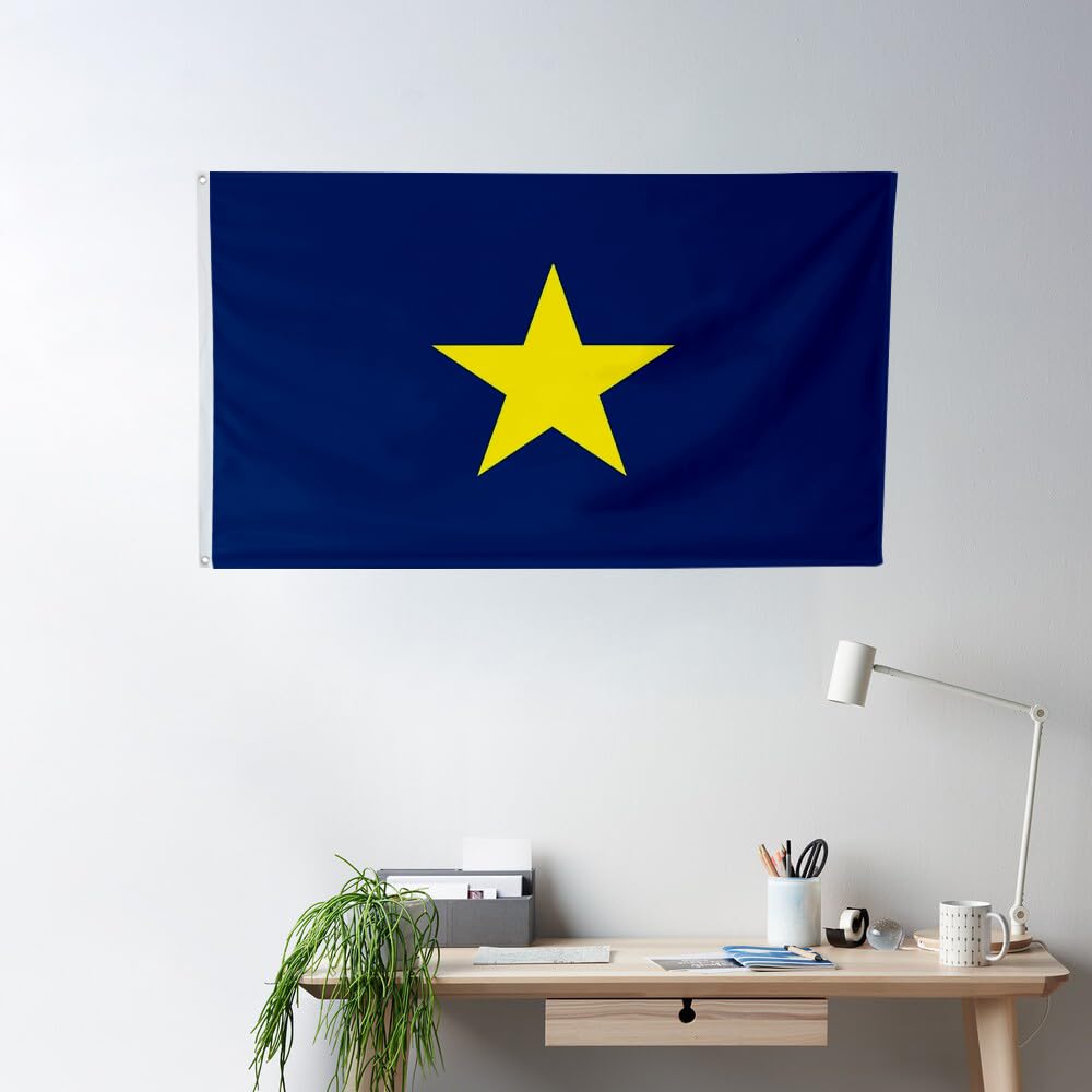 Amazon.com : Fyon Texas 18361839 The Burnet Flag Poprzednia