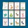 Speech Therapy Toys & Materials for Toddlers 1-3 & 3-4