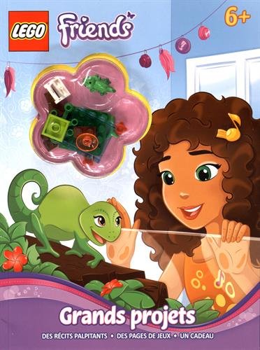 LEGO FRIENDS GRANDS PROJETS