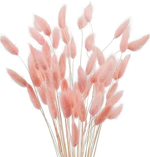 60 piezas de flores secas de cola de conejo, hierba rosa de las pampas, arreglo floral seco natural, flores secas para Halloween, Navidad,