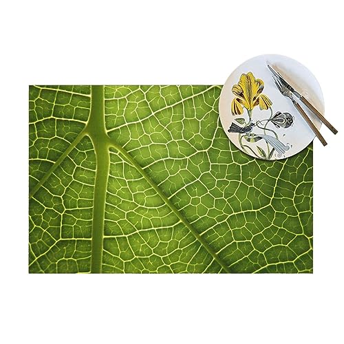 Sets de table pour table basse d'extérieur texture feuille - 6