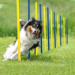pet prime Outdoor Dog Obstacle Agility Training Exercise Equipment Kit