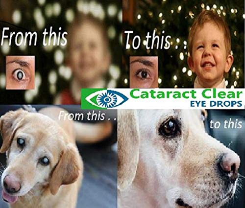 clarifye eye drops for dogs