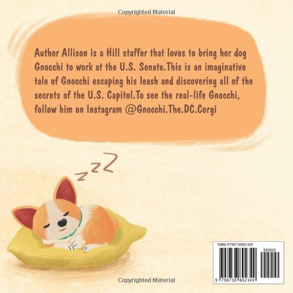 Miniatura 2 de Gnocchi the DC Corgi Exploring the Capitol