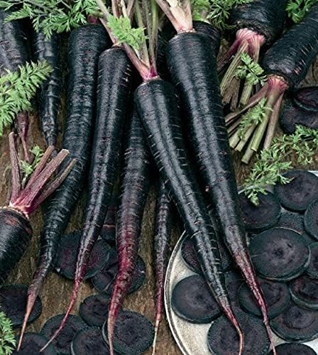 Black Carrot Deep Purple Carrot Planting Seed